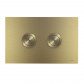 Robertson Twin Button Pneumatic Push Plate - Brushed Brass