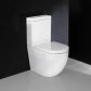 Plumbline Progetto Zen Rimless Back to Wall Toilet Suite Standard Seat