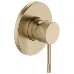Robertson Elementi Uno Etch Multi Pressure Shower Mixer - Brushed Brass