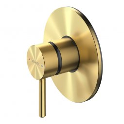 Methven Turoa Shower Mixer with Large Faceplate - Gold 